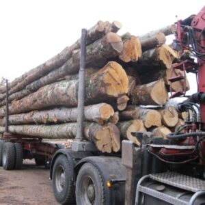 GRUME CAMION DE 50M3 EN HÊTRE